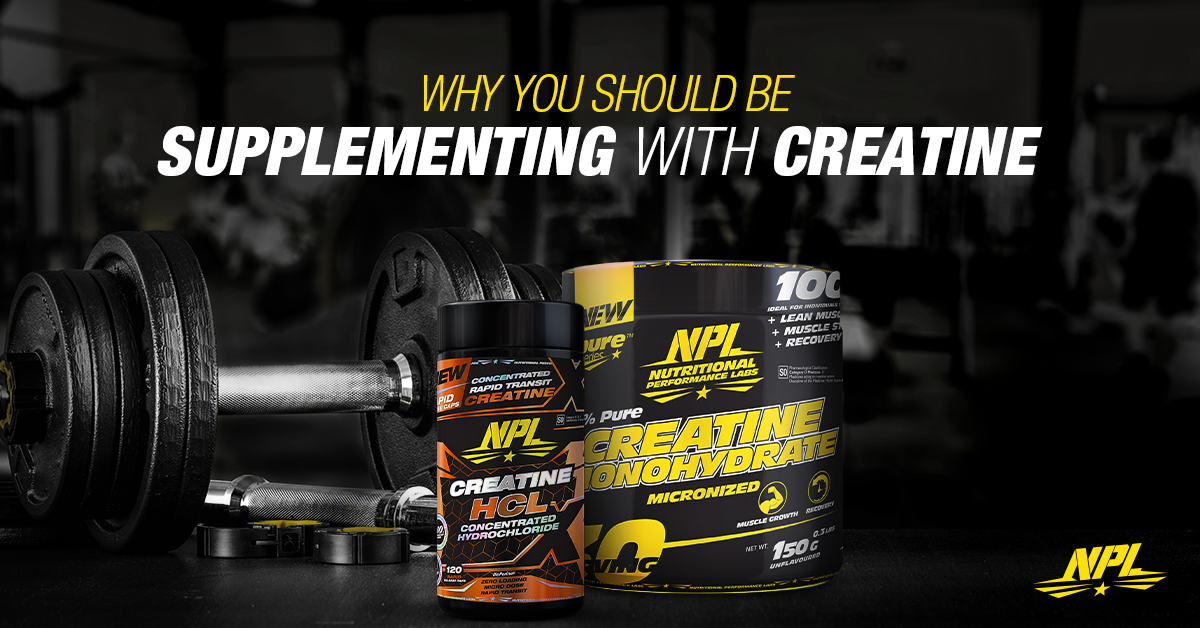 supplementing-with-creatine