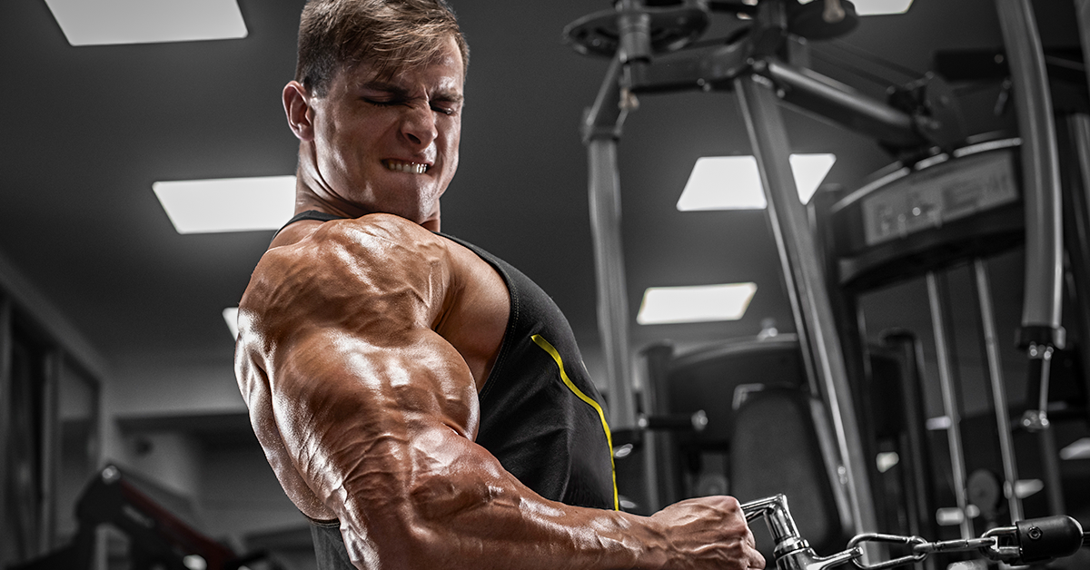 The best exercises for building bigger arms