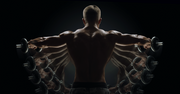 Lateral Raise Variations