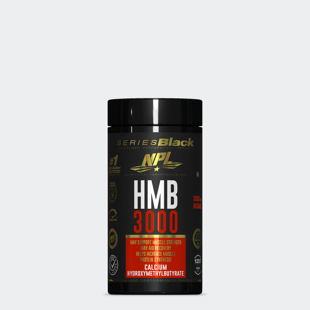 HMB 3000