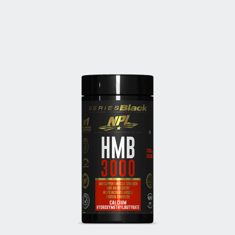 HMB 3000